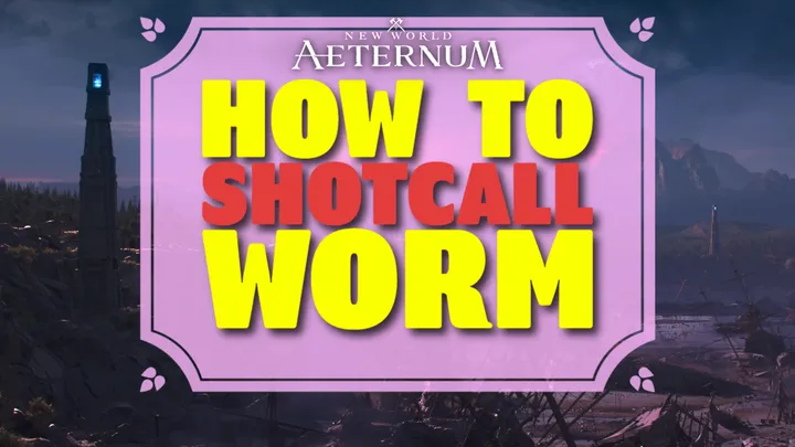 Worm raid shotcalling guide